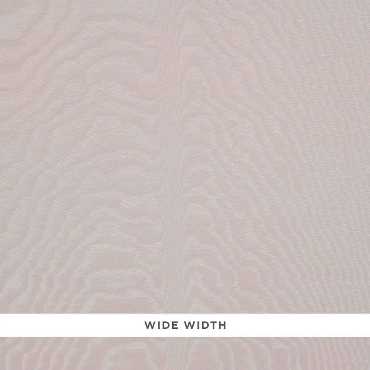 MOIR-WALLCOVERING-DOVE-SCHUMACHER-5009674