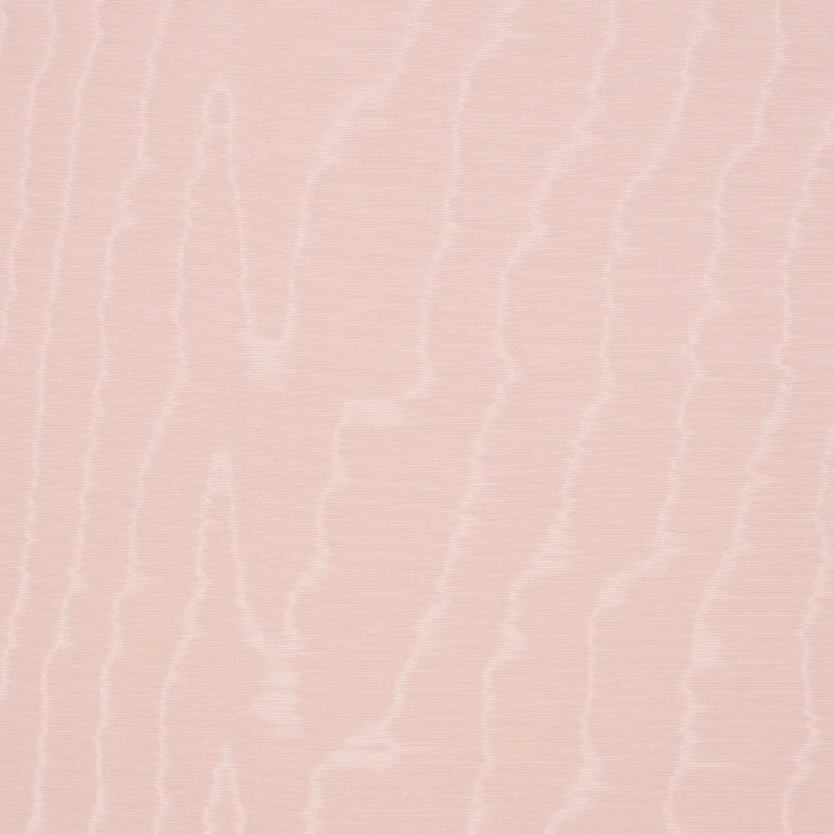 MOIR-WALLCOVERING-ROSE-SCHUMACHER-5009675