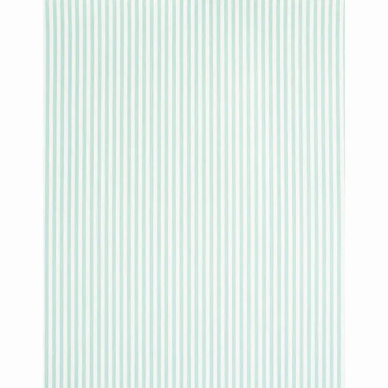 EDWIN-STRIPE-NARROW-MINERAL-SCHUMACHER-5011862