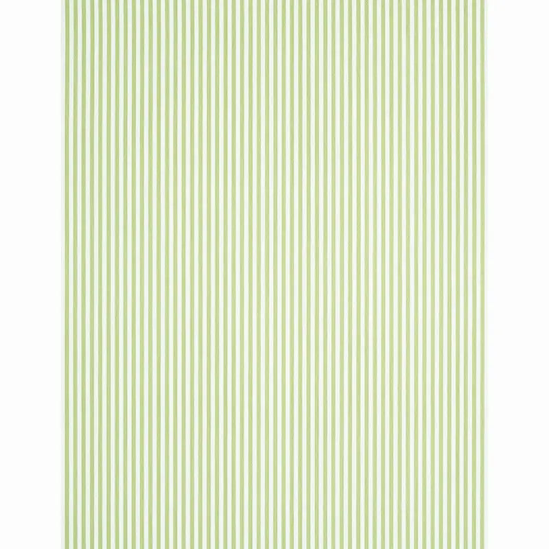 EDWIN-STRIPE-NARROW-LEAF-SCHUMACHER-5011869