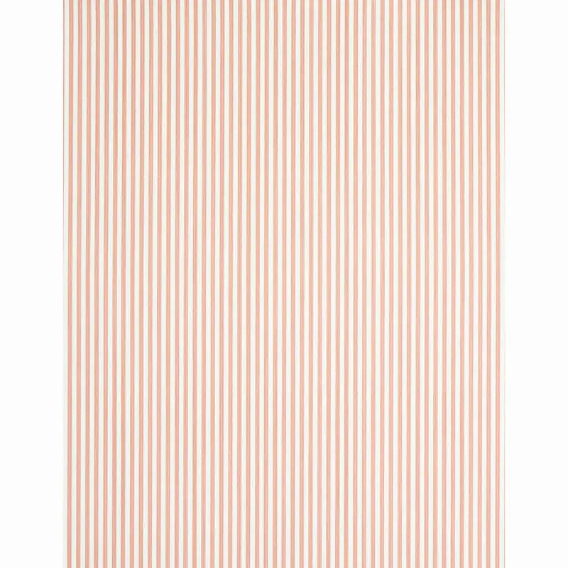 EDWIN-STRIPE-NARROW-PINK-SCHUMACHER-5011875