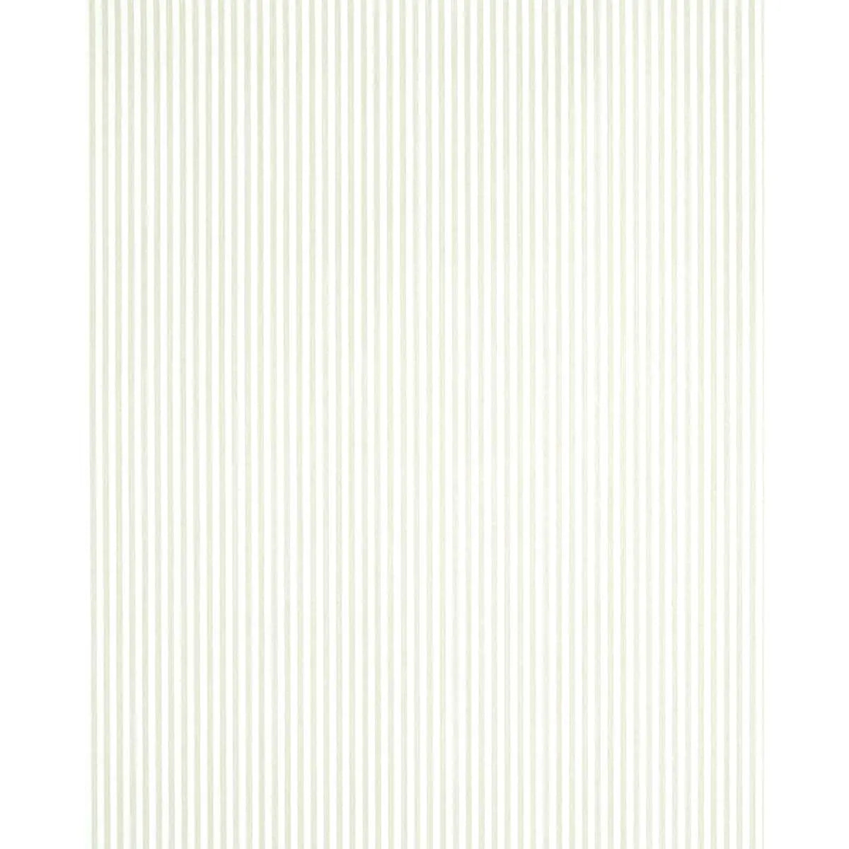 EDWIN-STRIPE-NARROW-NATURELLE-SCHUMACHER-5011877