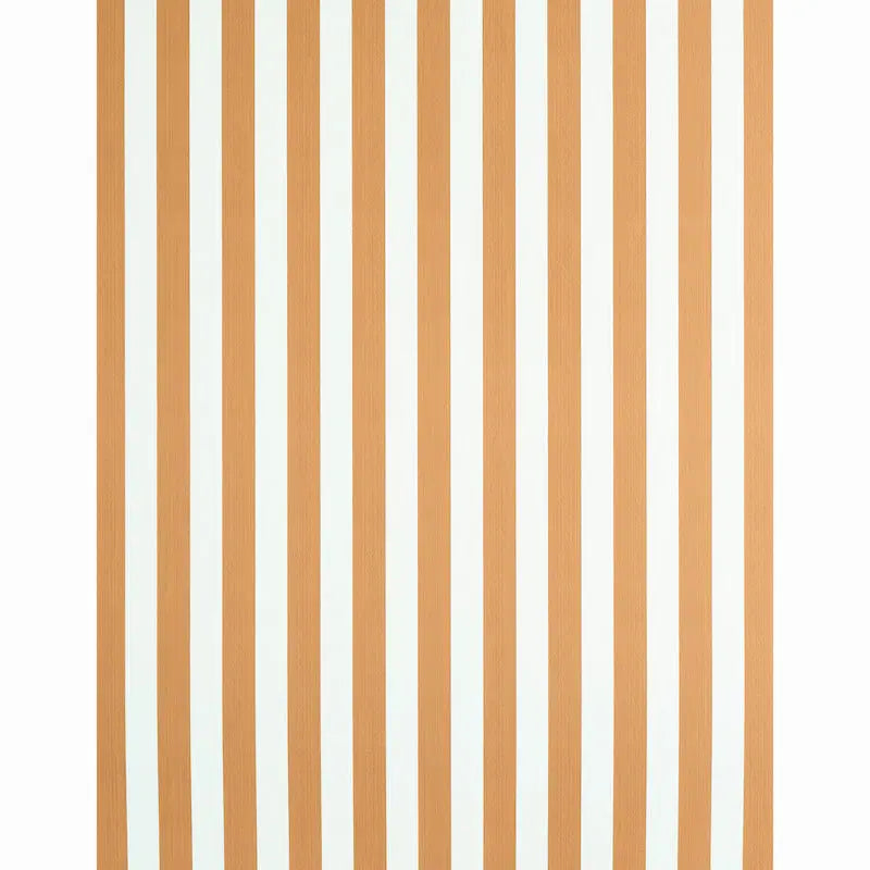 EDWIN-STRIPE-MEDIUM-BUTTERNUT-SCHUMACHER-5011893