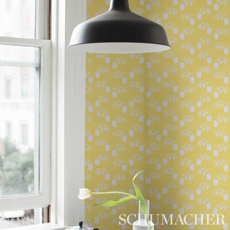 REACHING-OUT-LEMONADE-SCHUMACHER-5012711