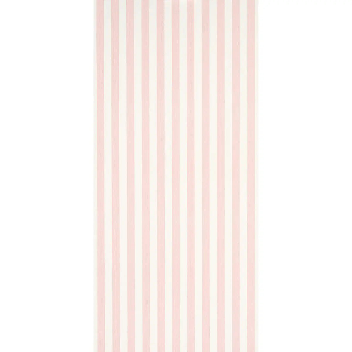 EDWIN-STRIPE-MEDIUM-PETAL-SCHUMACHER-5013610