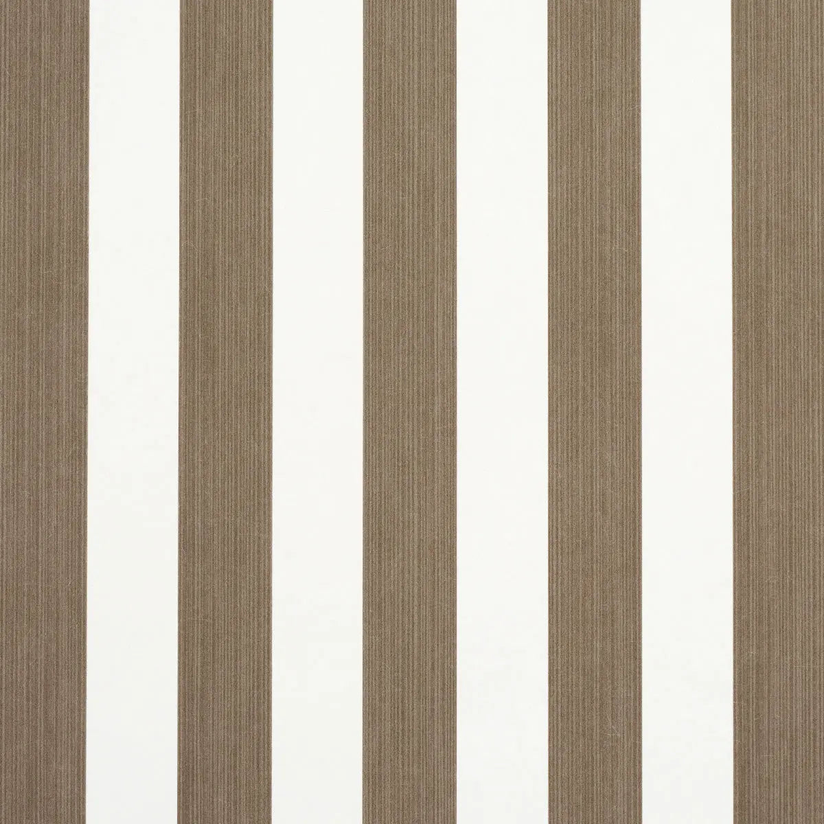 EDWIN-STRIPE-MEDIUM-MOCHA-SCHUMACHER-5013612