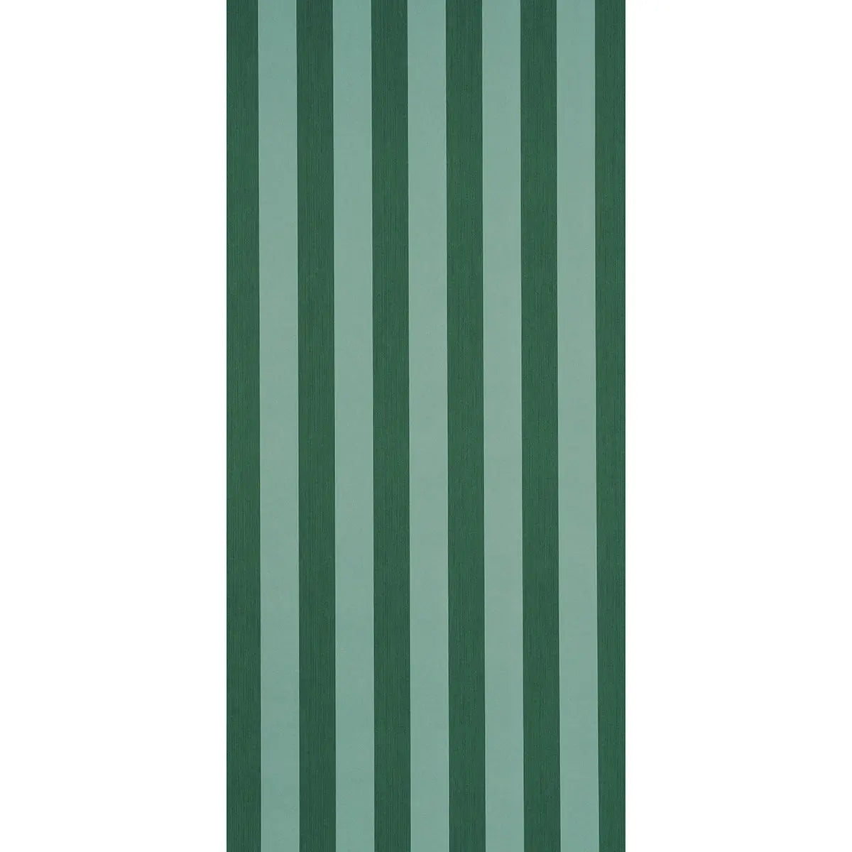 EDWIN-STRIPE-WIDE-DARK-GREEN-SCHUMACHER-5013624