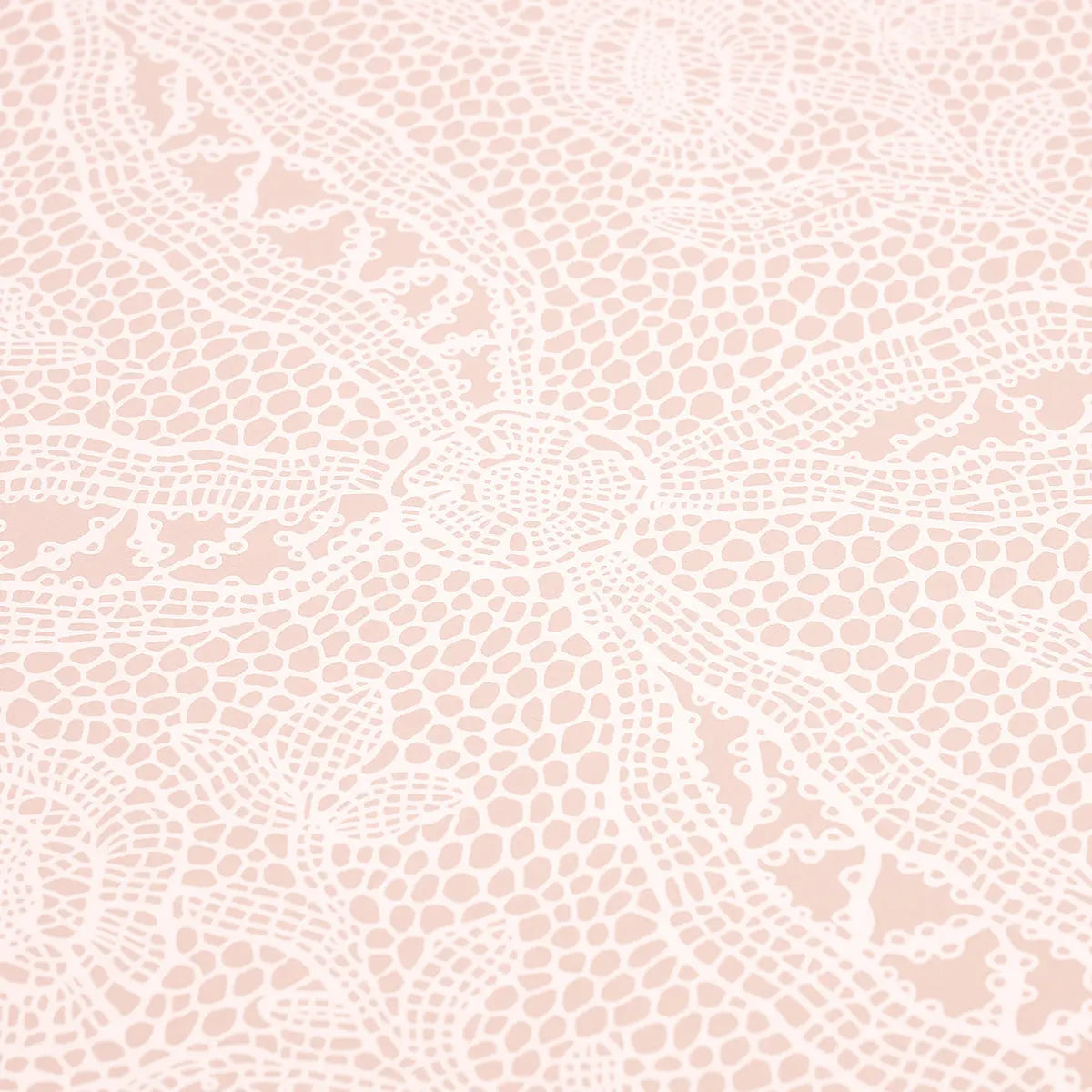 COSETTE-LACE-BLUSH-SCHUMACHER-5014720