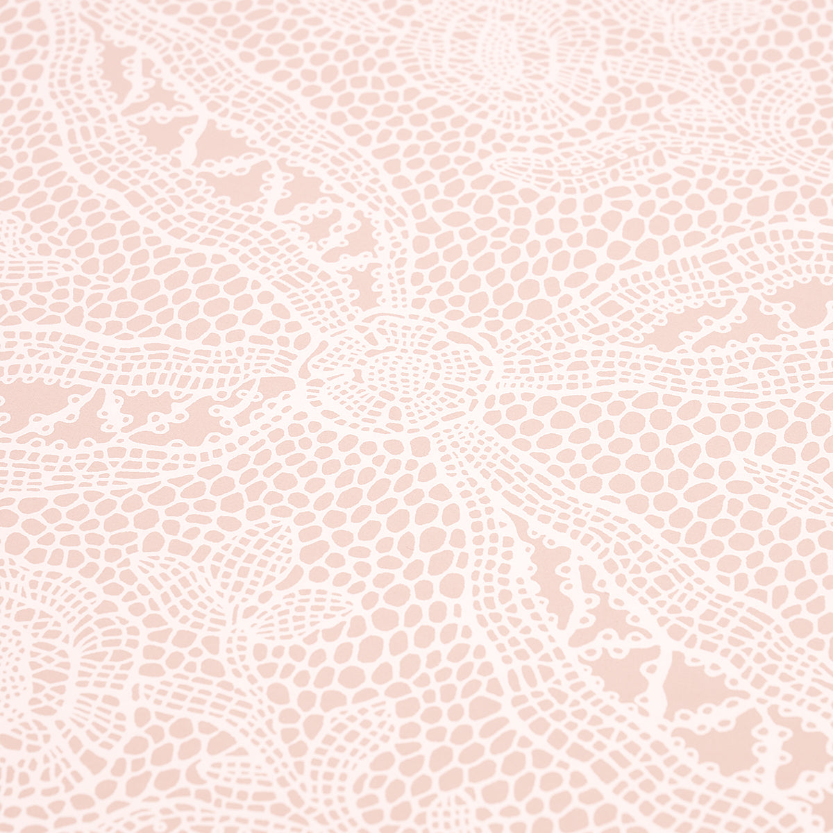 COSETTE-LACE-BLUSH-SCHUMACHER-5014720