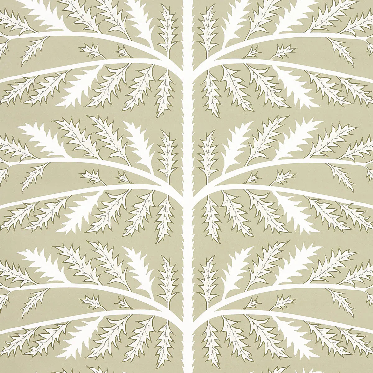 THISTLE-NEUTRAL-SCHUMACHER-5014951