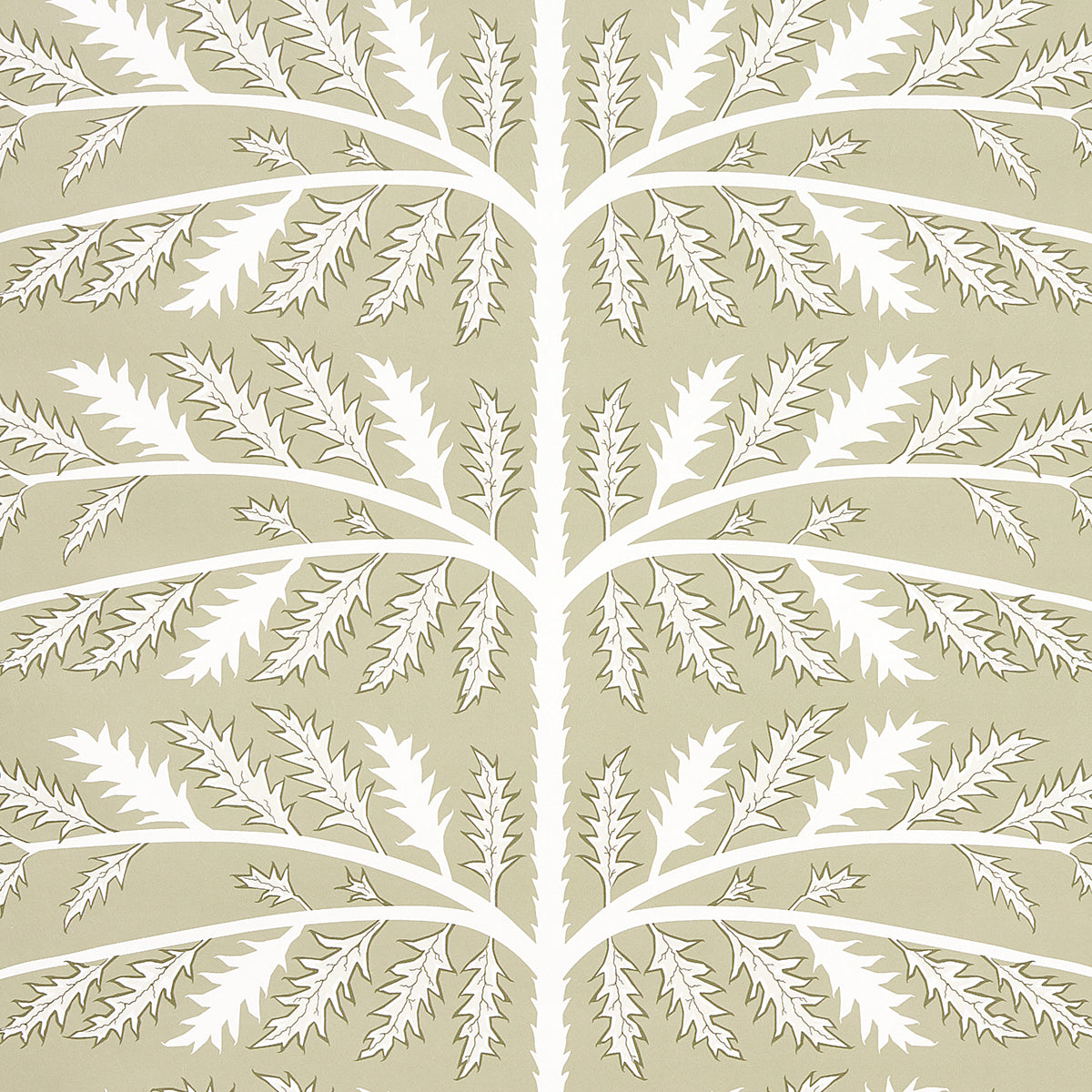 THISTLE-NEUTRAL-SCHUMACHER-5014951