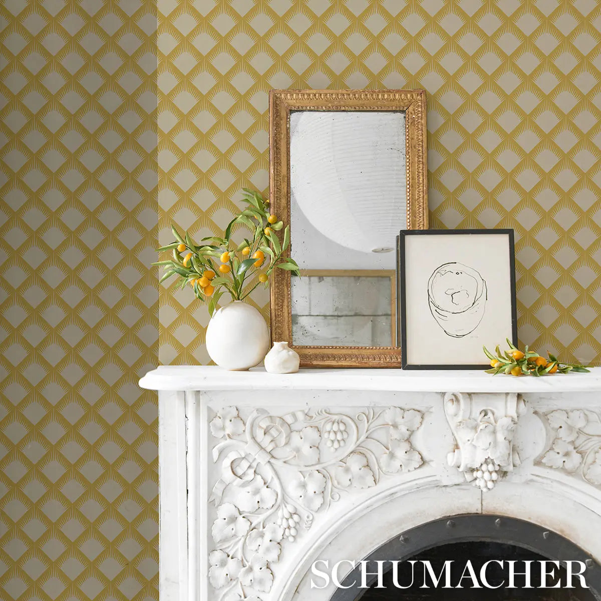 MAIZE-MUSTARD-SCHUMACHER-5015042