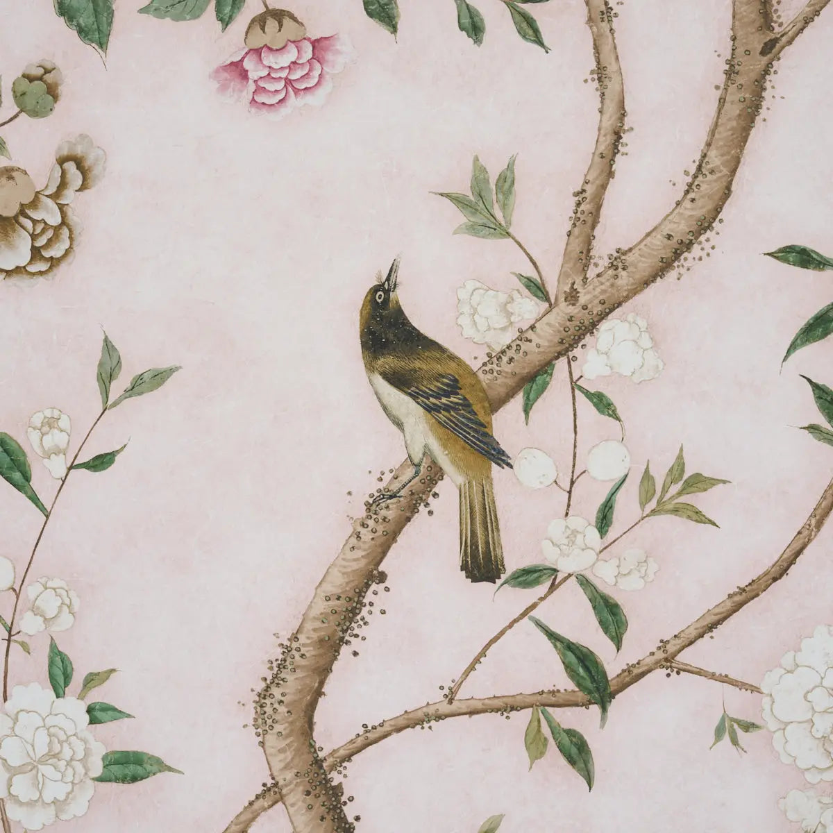 LES-OISEAUX-PANEL-SET-BLUSH-SCHUMACHER-5015154