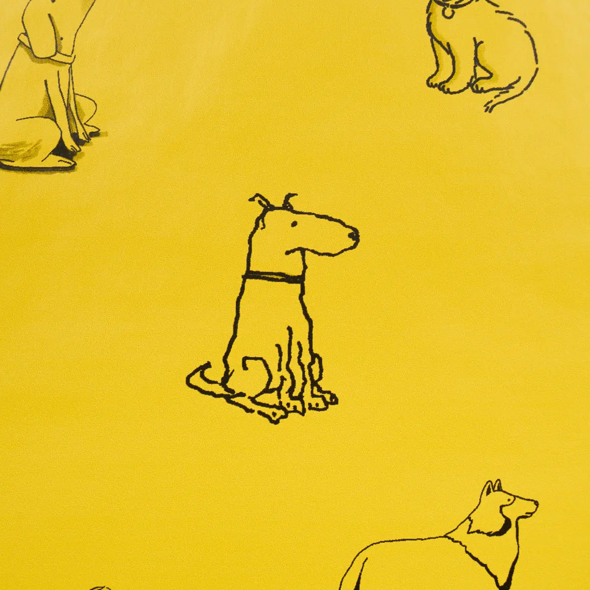 GOOD-DOGS-EVERYWHERE-TAXI-CAB-YELLOW-SCHUMACHER-5016301