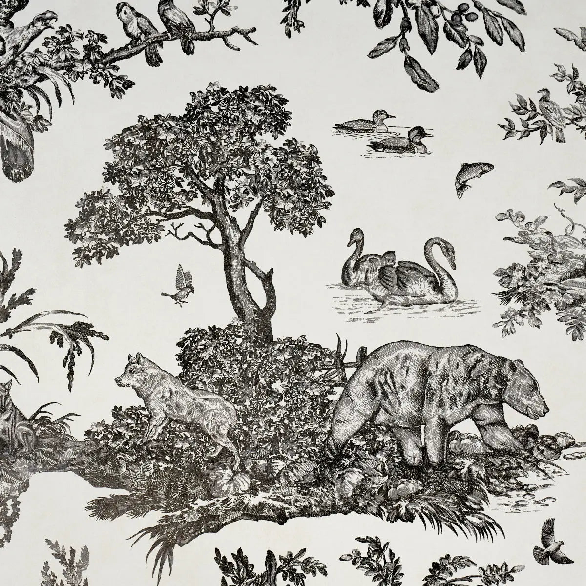 WESTERN-TOILE-CARBON-SCHUMACHER-5016440