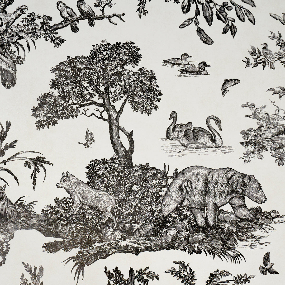 WESTERN-TOILE-CARBON-SCHUMACHER-5016441