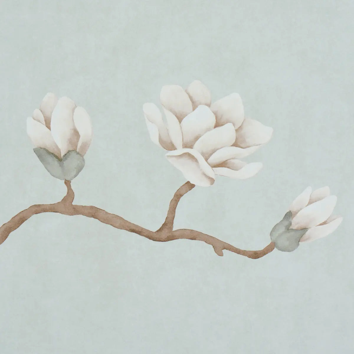 MAGNOLIA-TREE-DUSTY-SKY-SCHUMACHER-5016930