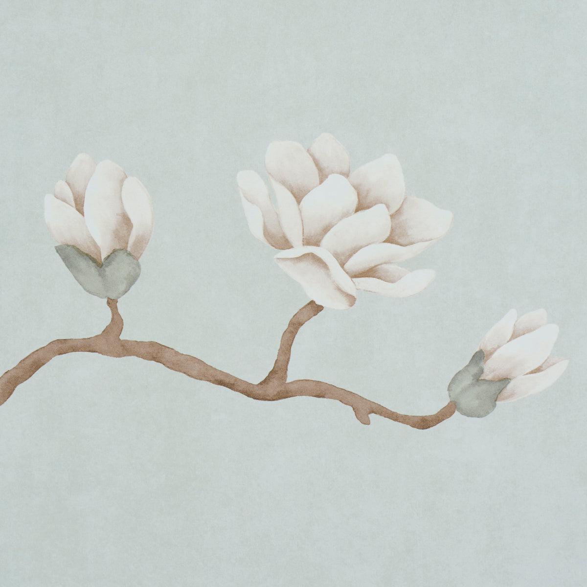 MAGNOLIA-TREE-DUSTY-SKY-SCHUMACHER-5016930