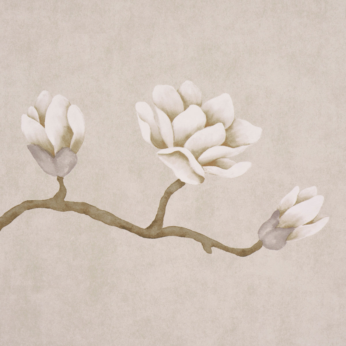 MAGNOLIA-TREE-GRISAILLE-SCHUMACHER-5016931