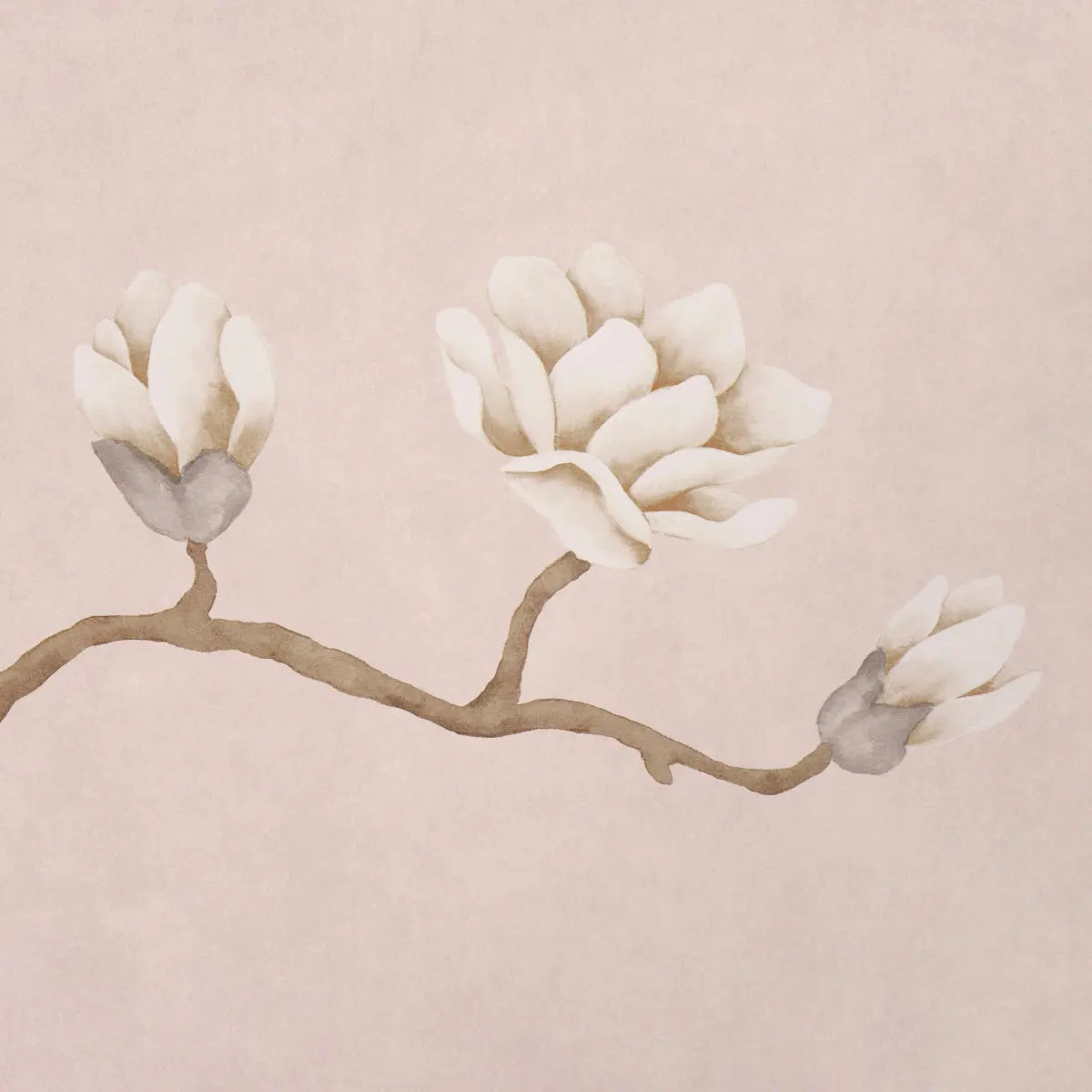 MAGNOLIA-TREE-DUSTY-BLUSH-SCHUMACHER-5016933