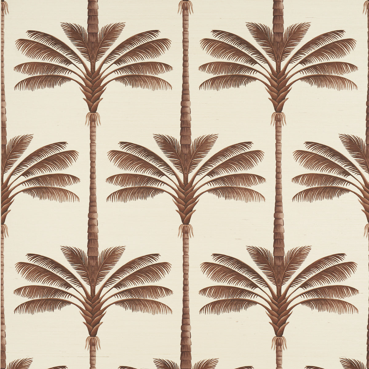 A-PALM-IS-A-PALM-SISAL-CHOCOLATE-MEETS-TOBACCO-SCHUMACHER-5016960