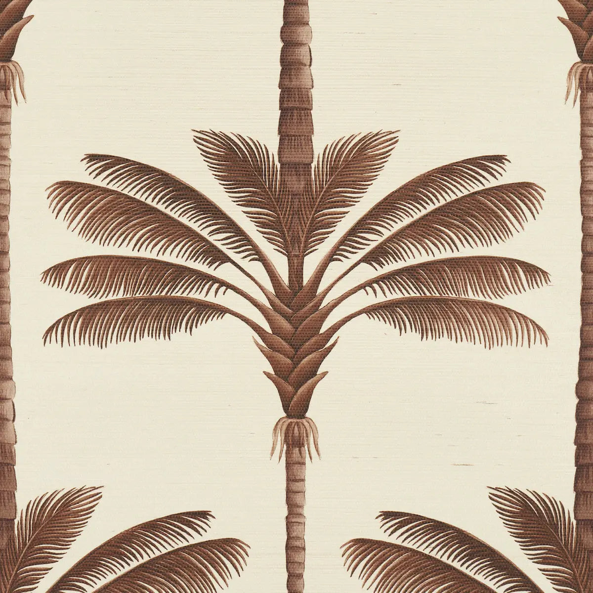 A-PALM-IS-A-PALM-SISAL-CHOCOLATE-MEETS-TOBACCO-SCHUMACHER-5016960