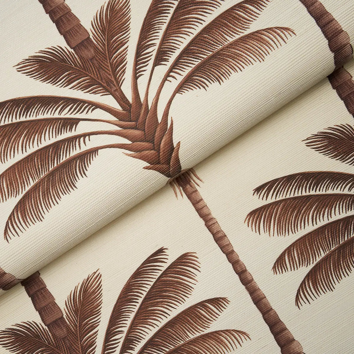 A-PALM-IS-A-PALM-SISAL-CHOCOLATE-MEETS-TOBACCO-SCHUMACHER-5016960