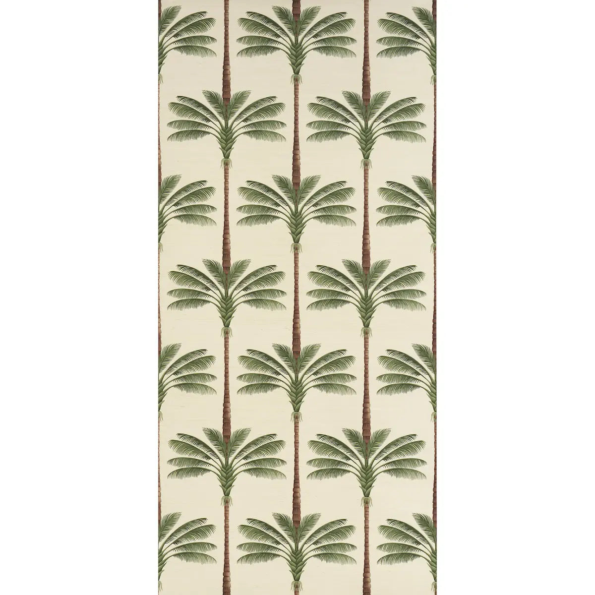 A-PALM-IS-A-PALM-SISAL-DAYLIGHT-EVERGREEN-SCHUMACHER-5016961