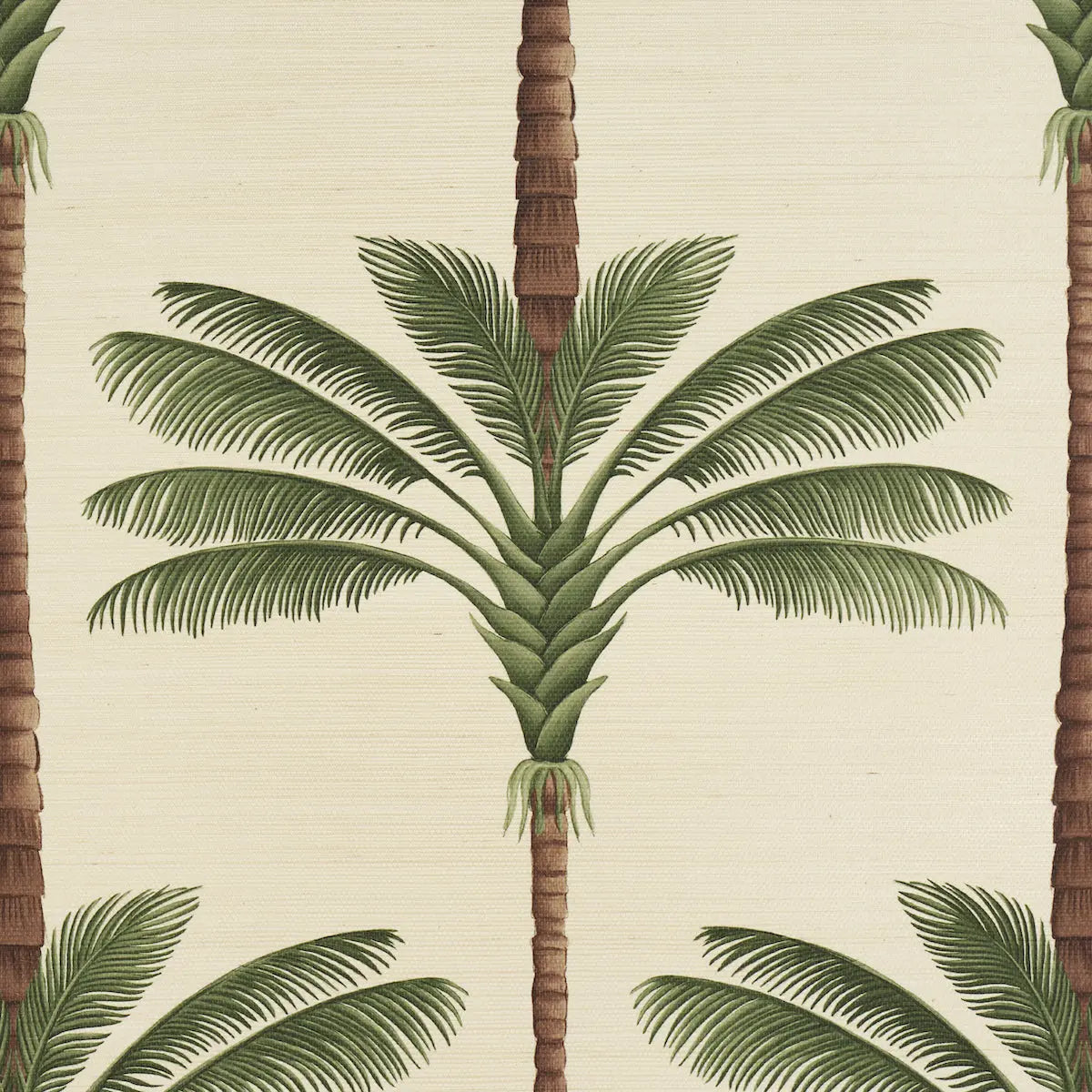 A-PALM-IS-A-PALM-SISAL-DAYLIGHT-EVERGREEN-SCHUMACHER-5016961