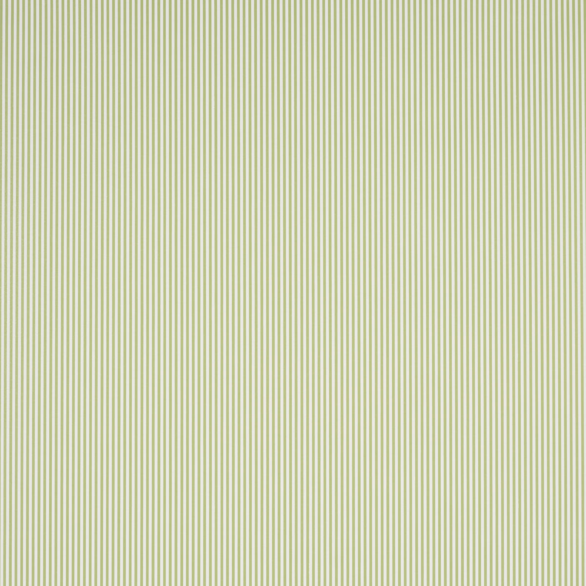 EMMA-STRIPE-NARROW-LEAF-SCHUMACHER-5017193