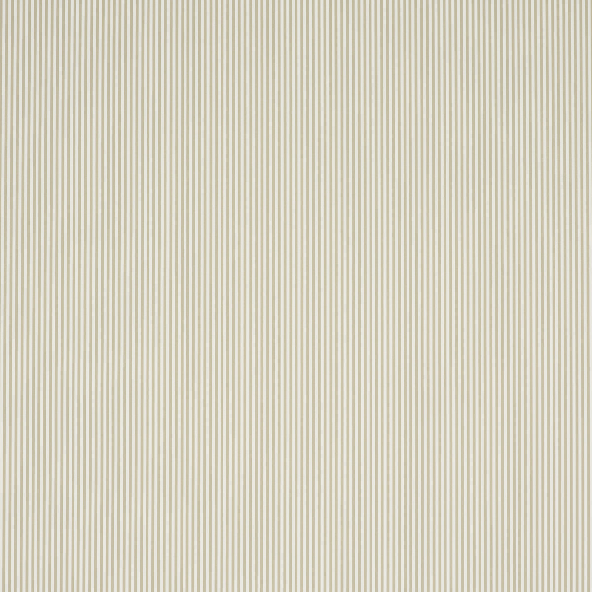 EMMA-STRIPE-NARROW-NEUTRAL-SCHUMACHER-5017197