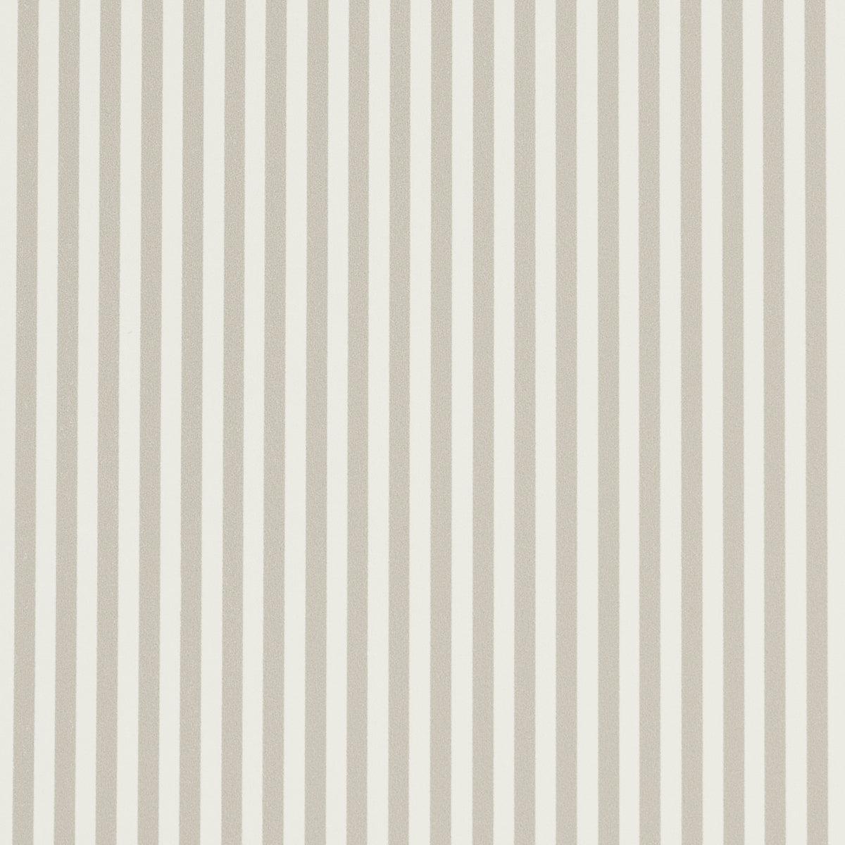 EMMA-STRIPE-NARROW-STONE-SCHUMACHER-5017198