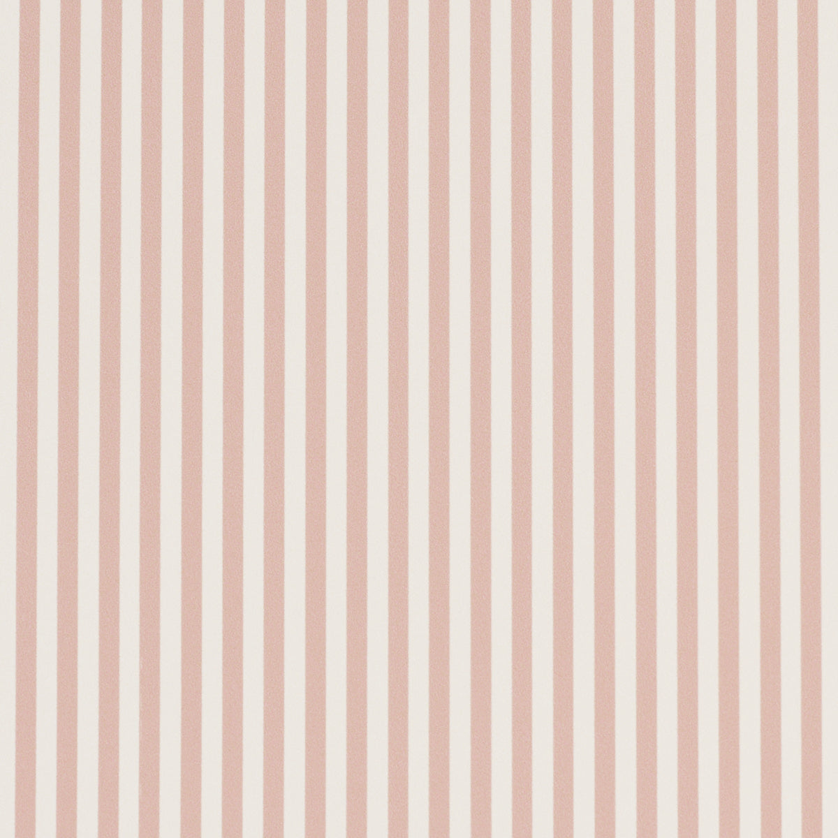 EMMA-STRIPE-NARROW-ROSE-SCHUMACHER-5017200