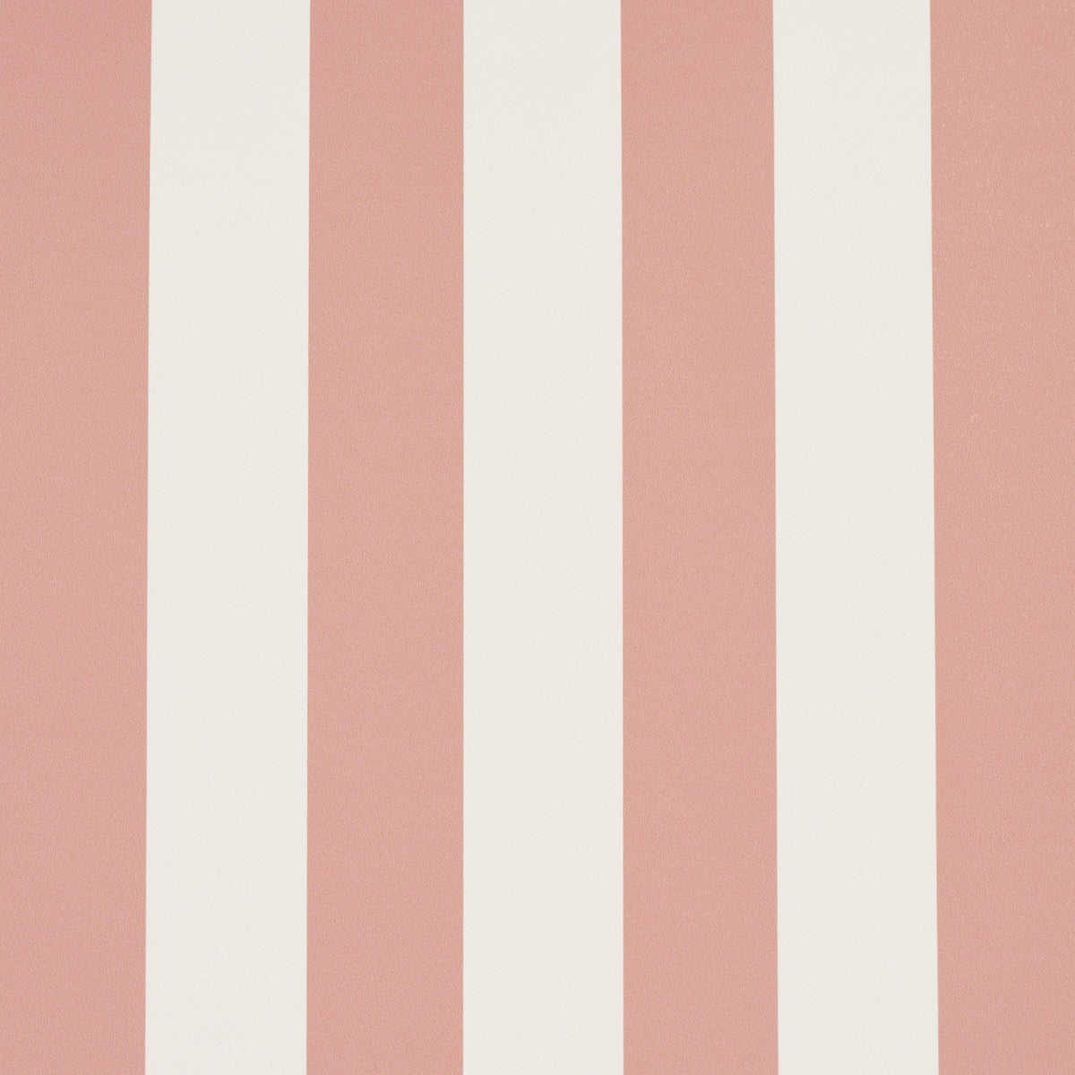 EMMA-STRIPE-CORAL-SCHUMACHER-5017220