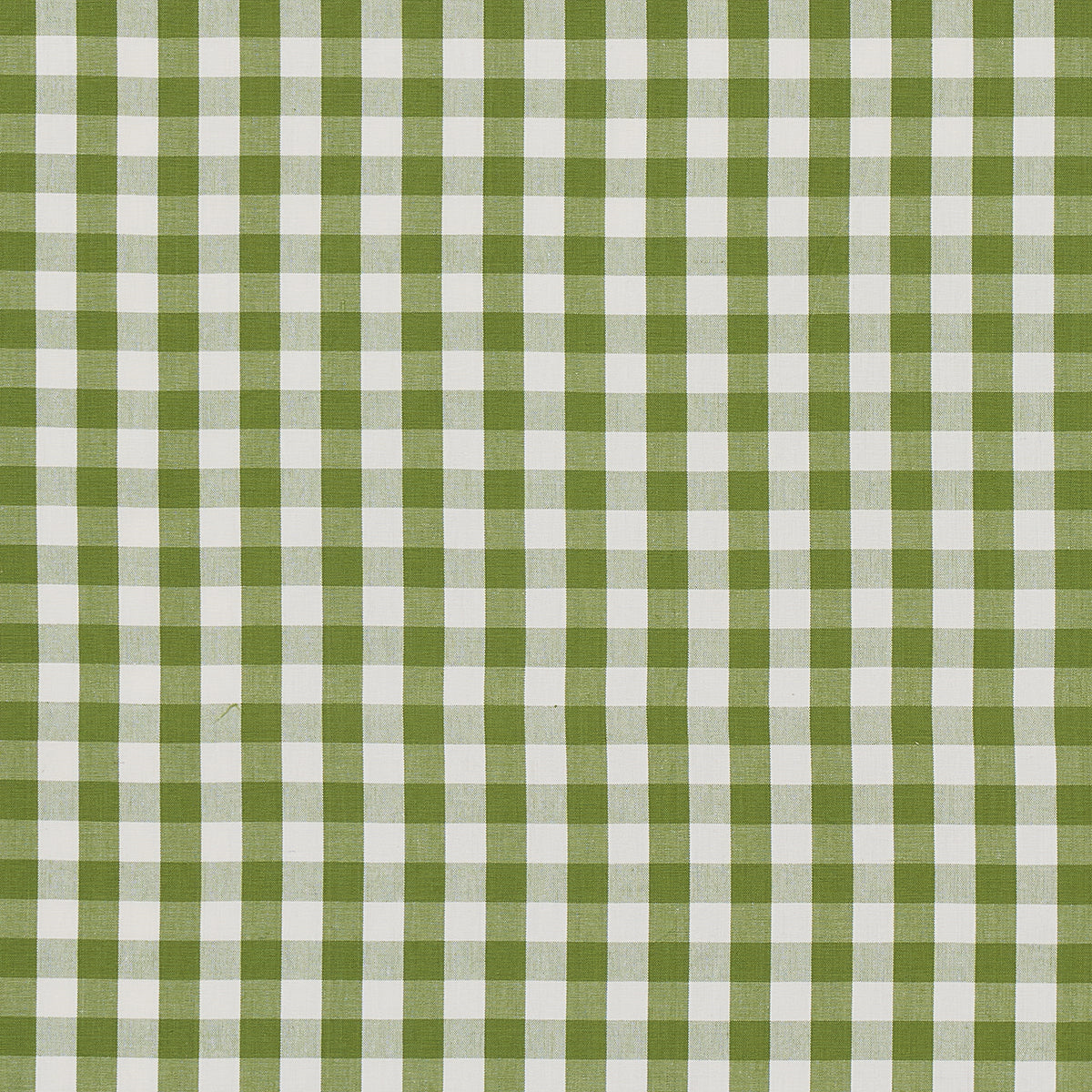 ELTON-COTTON-CHECK-LEAF-SCHUMACHER-63071