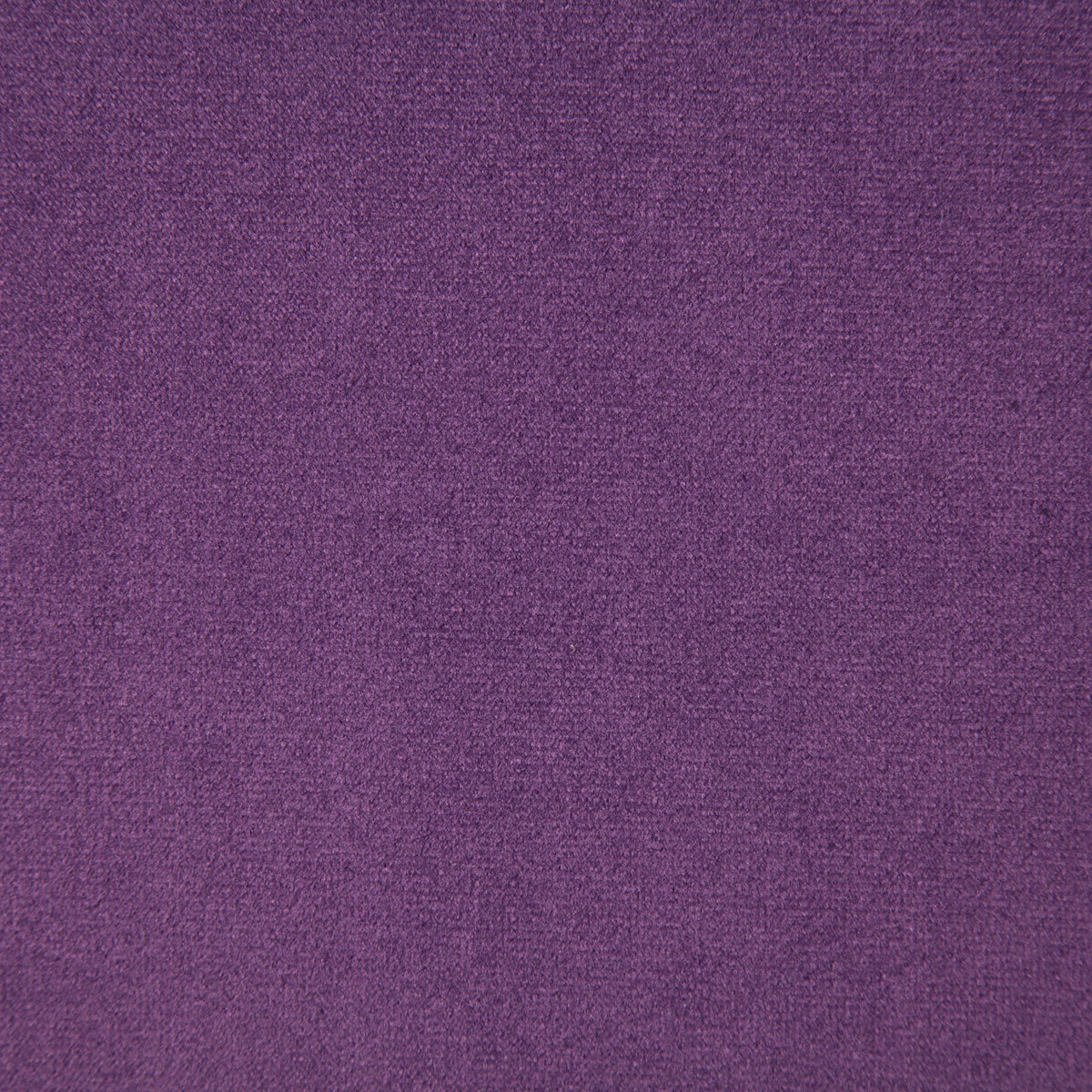 6334-voltaire-grape-pindler