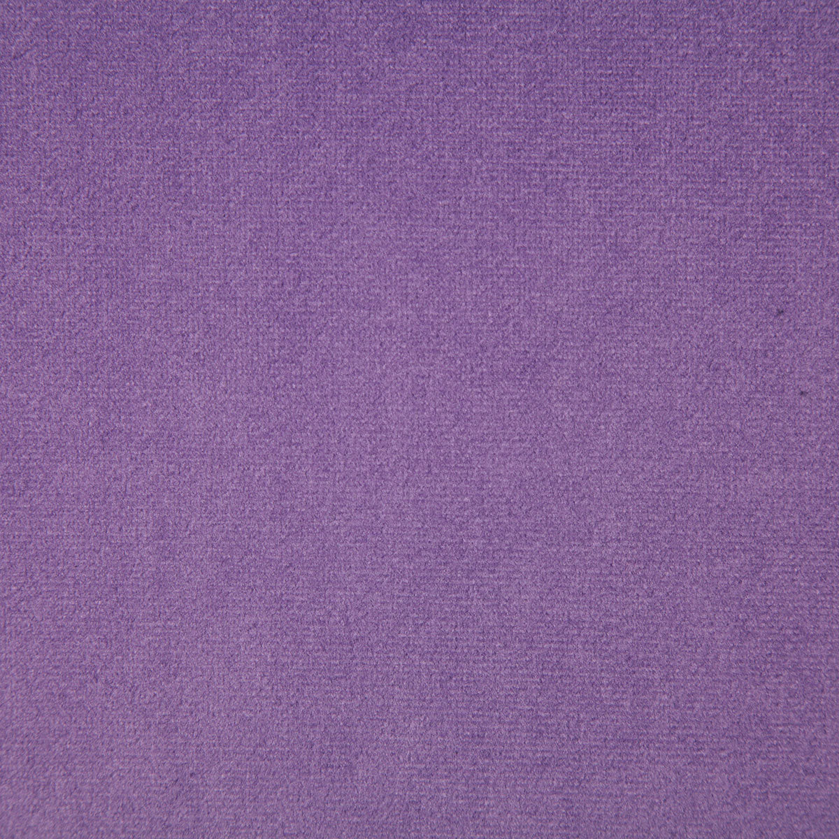 6334-voltaire-violet-pindler