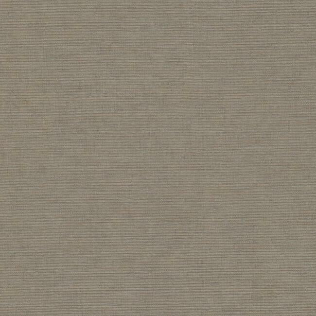 Trapunto Texture Wallpaper - Brown - York Wallcoverings - 6413