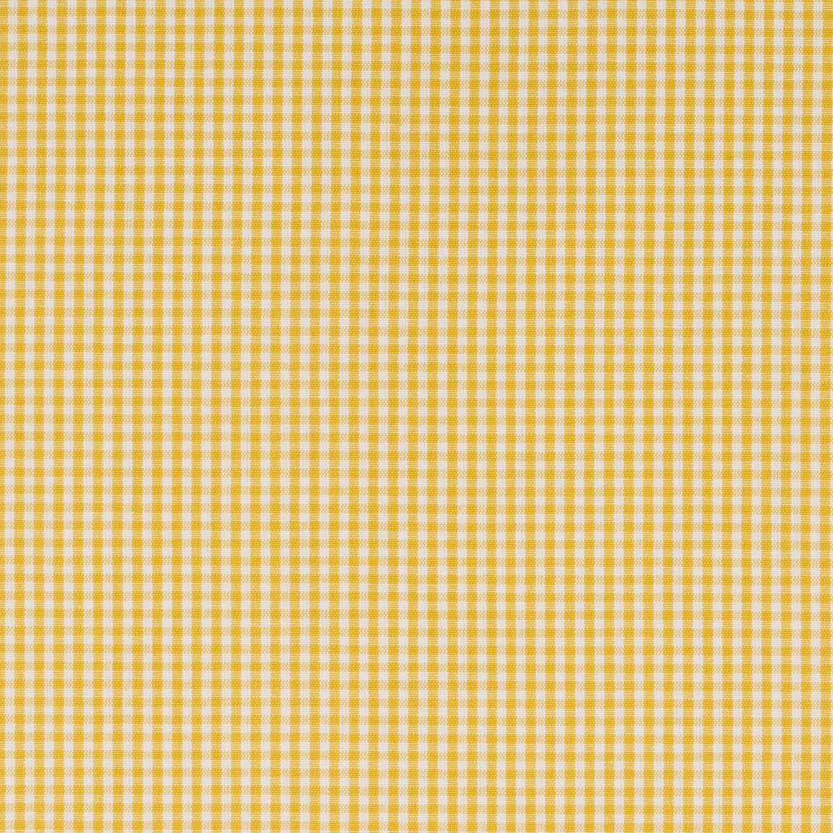 BARNET-COTTON-CHECK-YELLOW-SCHUMACHER-64639