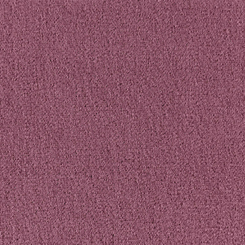 SAN-CARLO-MOHAIR-VELVET-THISTLE-SCHUMACHER-64860