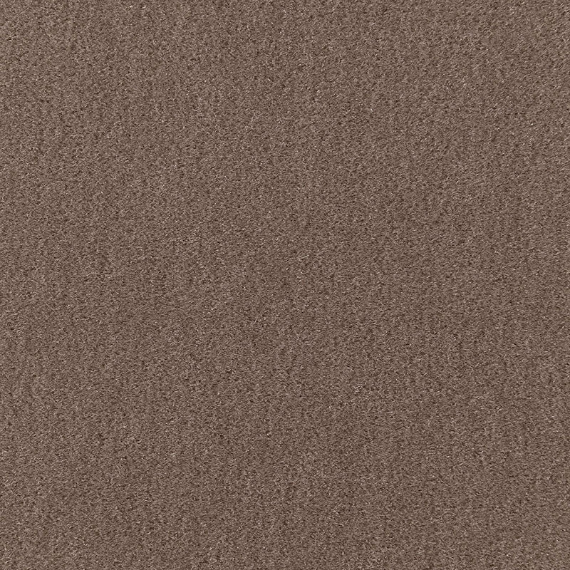 SAN-CARLO-MOHAIR-VELVET-DRIFTWOOD-SCHUMACHER-64868