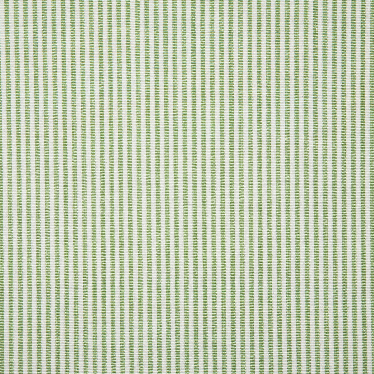 7107-savannah-kiwi-pindler