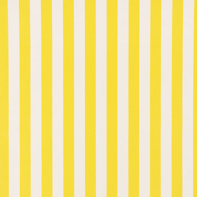 ANDY-STRIPE-YELLOW-SCHUMACHER-71327