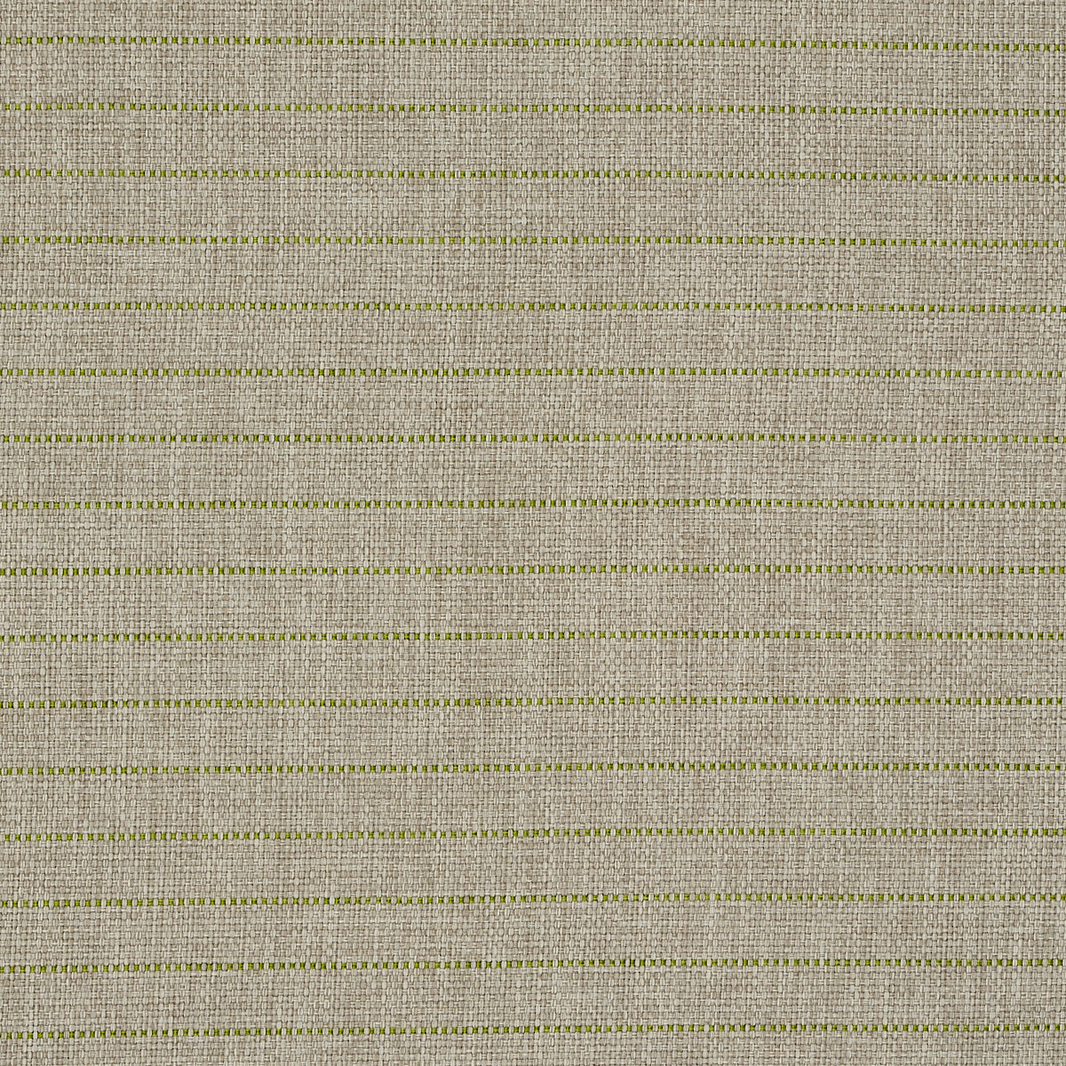 MANNING-STRIPE-INDOOR-OUTDOOR-LIME-SCHUMACHER-71813