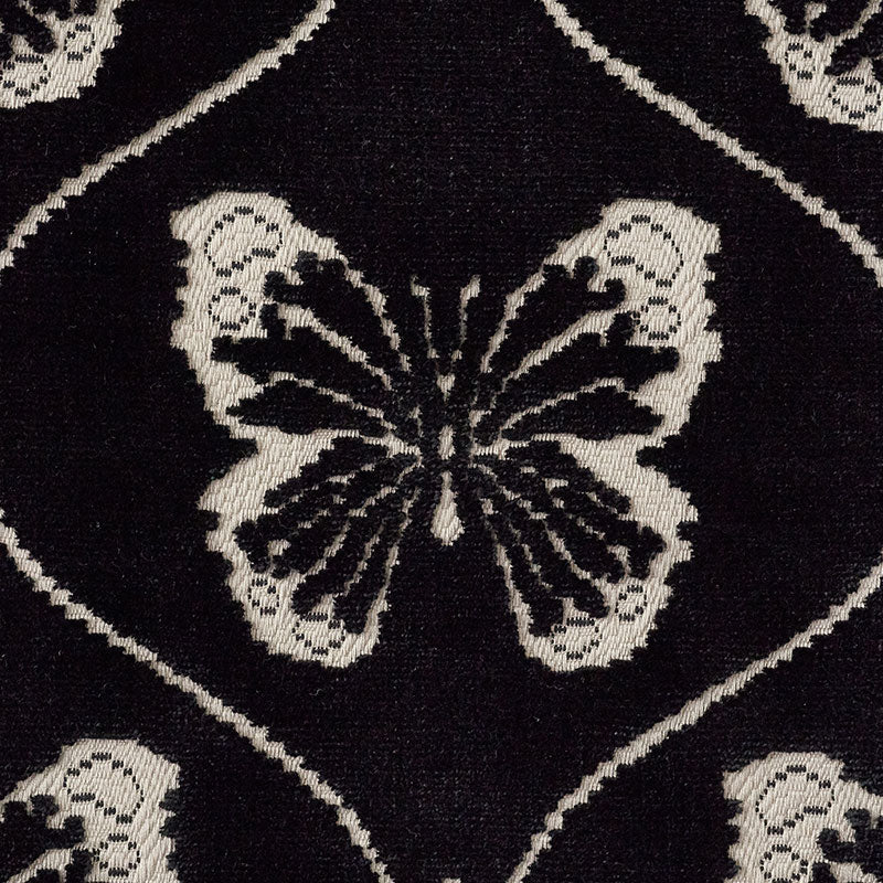 PAPILLON-VELVET-ONYX-SCHUMACHER-72960