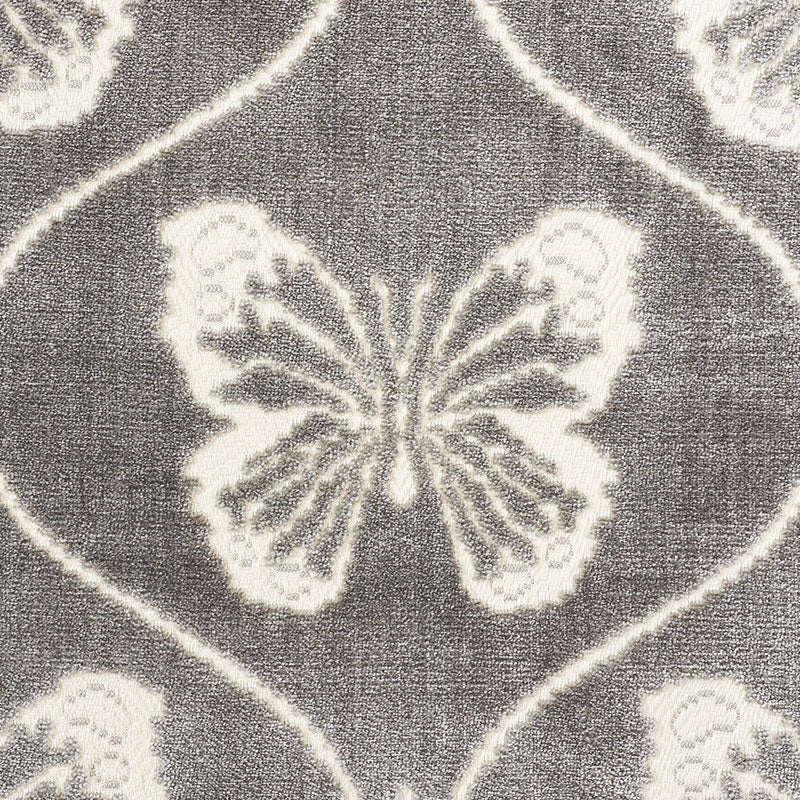 PAPILLON-VELVET-PEWTER-SCHUMACHER-72961