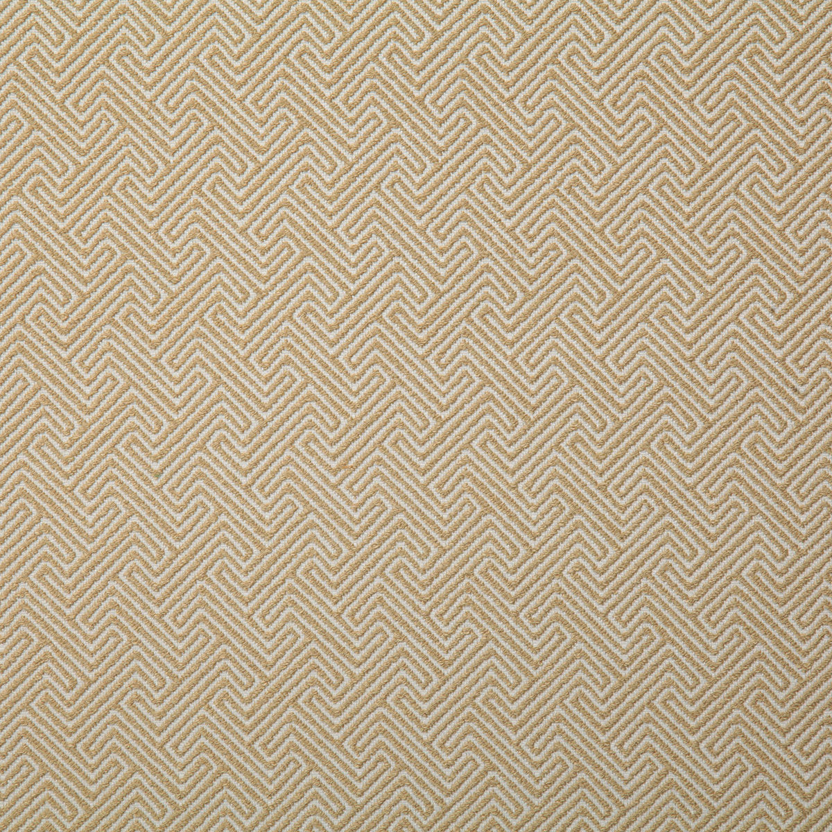 7319-domain-tan-pindler