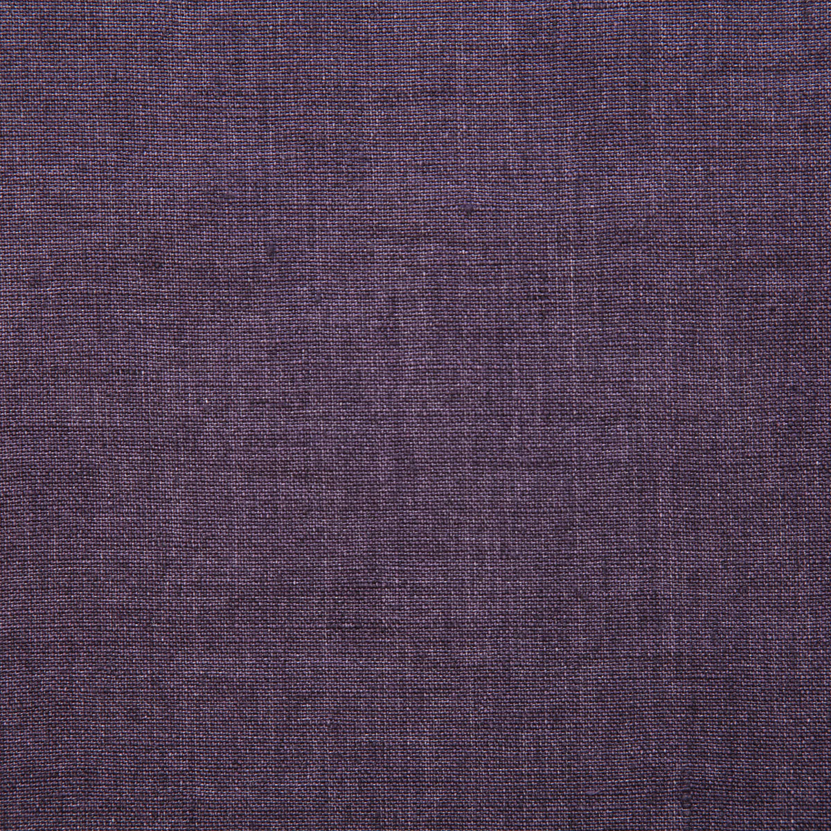 7646-linette-aubergine-pindler