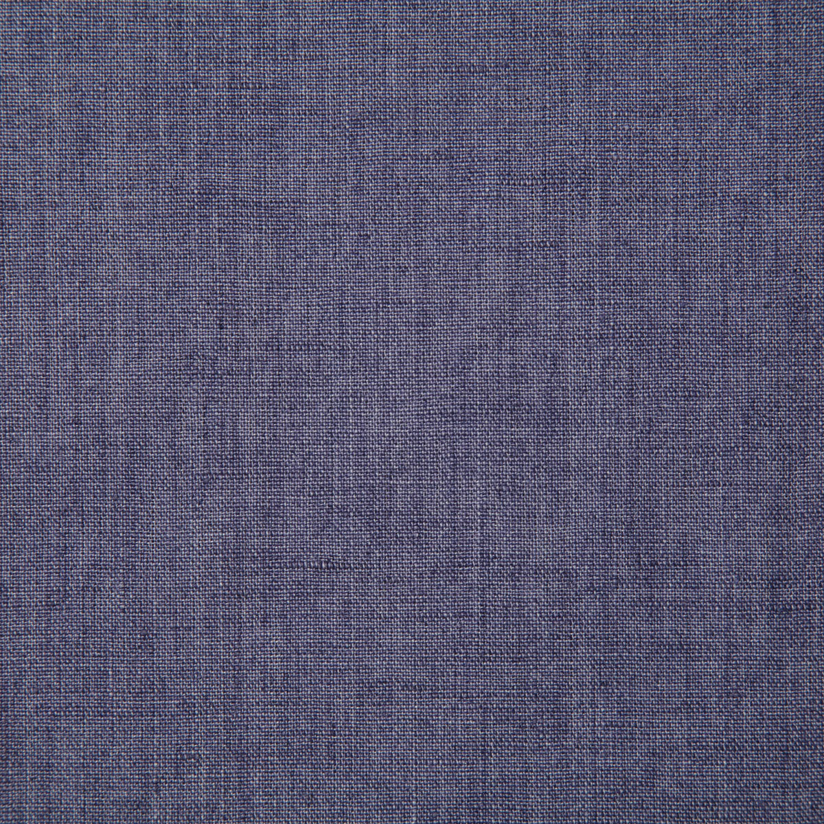 7646-linette-periwinkle-pindler