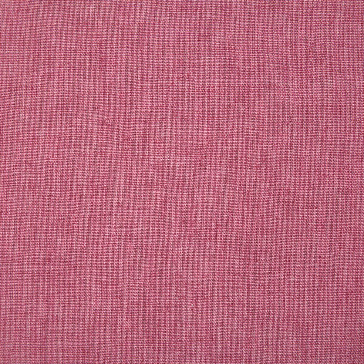 7646-linette-pink-pindler